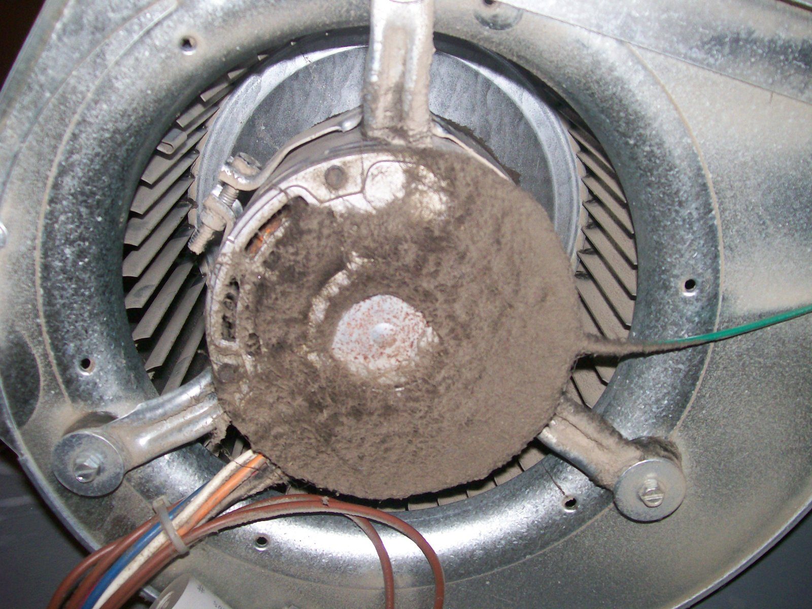 Filthy blower wheel and motor clogged with built-up grime
