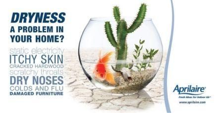 Dryness in your home indoor air quality information graphic